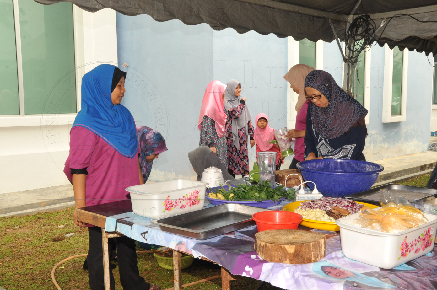 PRO15 150 KORBAN HAS 6918